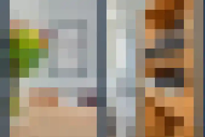 Adriaen van Ostadelaan 101 Utrecht thumbnail 16