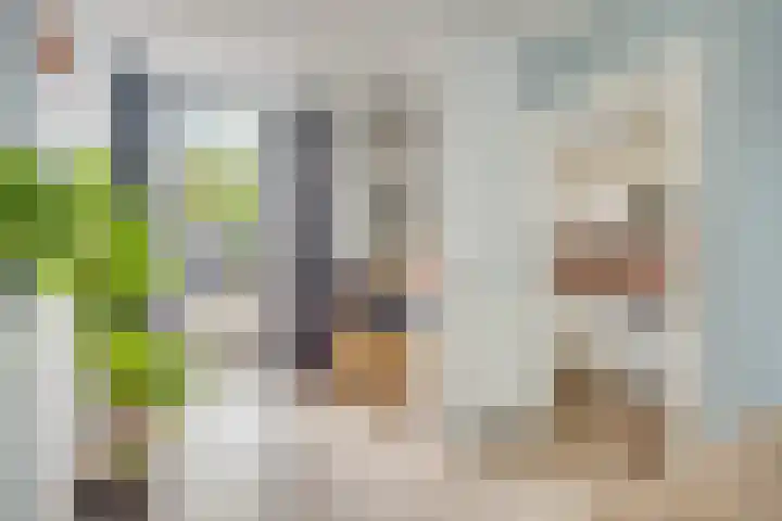 Adriaen van Ostadelaan 101 Utrecht thumbnail 18