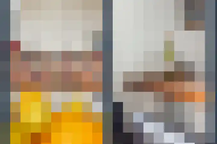 Adriaen van Ostadelaan 101 Utrecht thumbnail 20