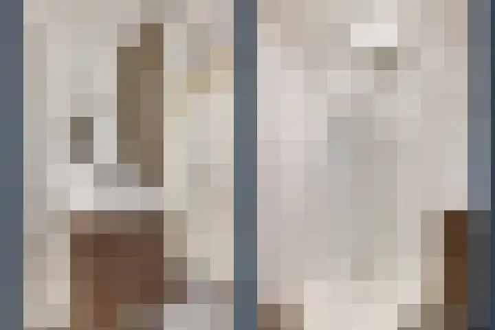 Adriaen van Ostadelaan 101 Utrecht thumbnail 24