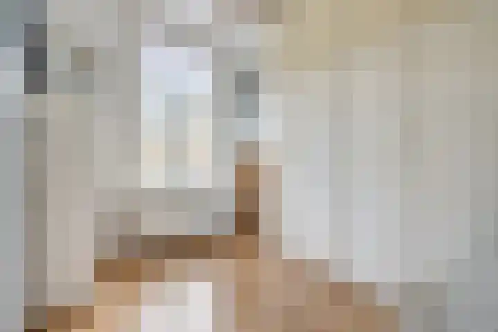 Adriaen van Ostadelaan 101 Utrecht thumbnail 28
