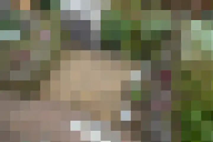 Adriaen van Ostadelaan 101 Utrecht thumbnail 31