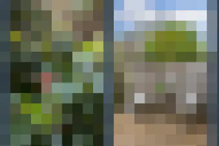 Adriaen van Ostadelaan 101 Utrecht thumbnail 34