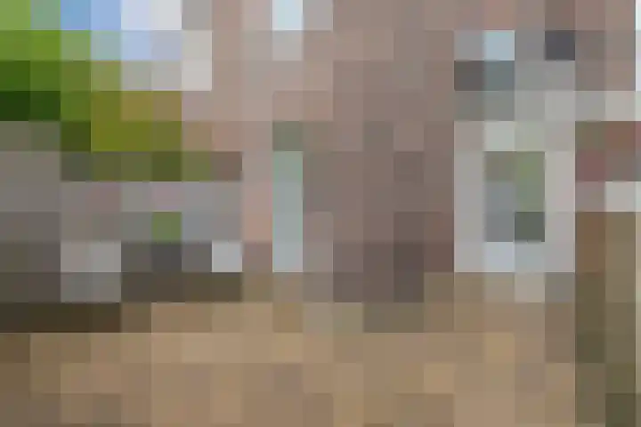 Adriaen van Ostadelaan 101 Utrecht thumbnail 35