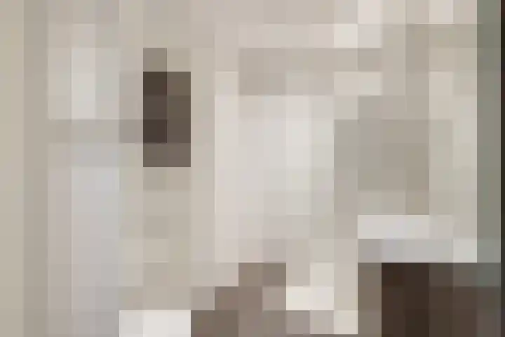 Adriaen van Ostadelaan 101 Utrecht thumbnail 4