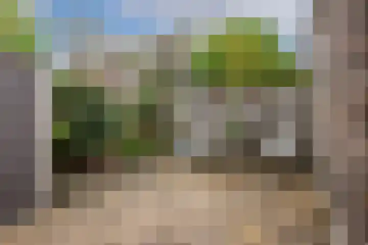 Adriaen van Ostadelaan 101 Utrecht thumbnail 5