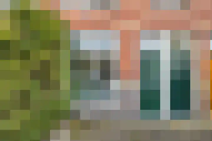 Adriaen van Ostadelaan 101 Utrecht thumbnail 6