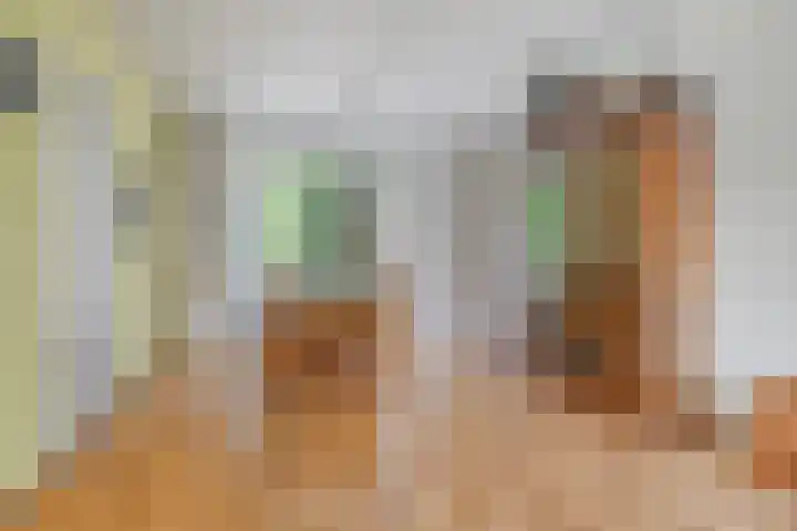 Adriaen van Ostadelaan 11 Waalre thumbnail 11