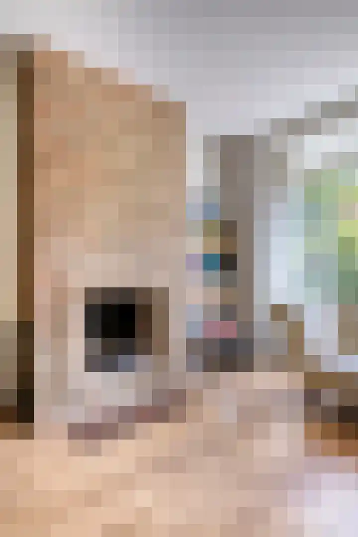 Adriaen van Ostadelaan 11 Waalre thumbnail 13