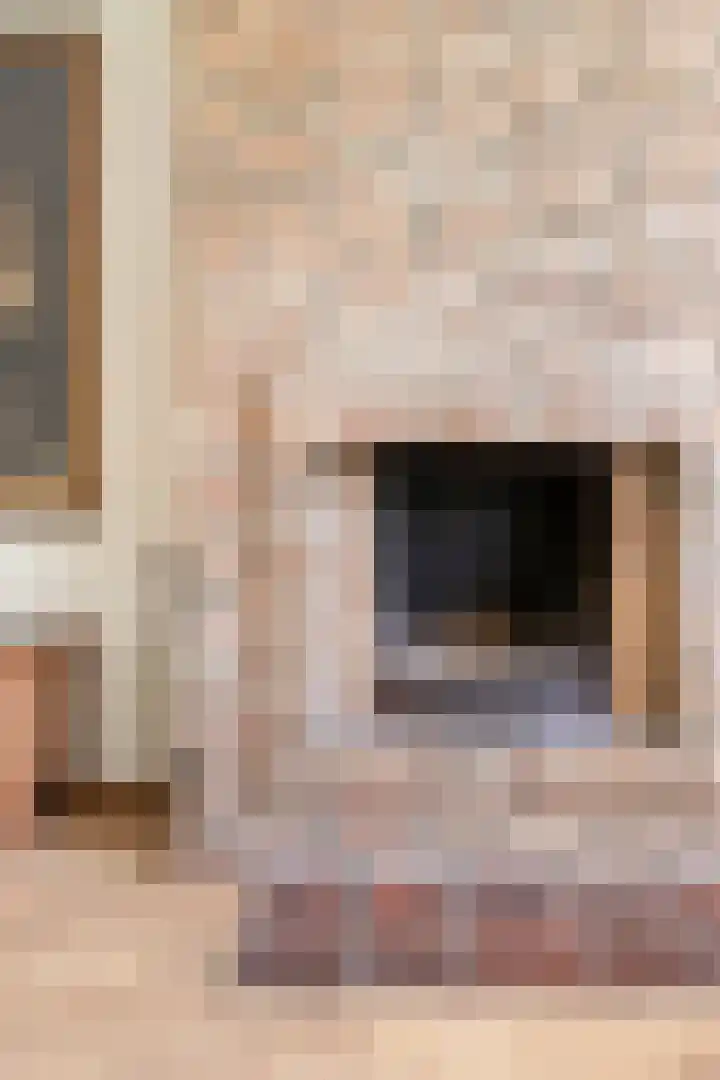 Adriaen van Ostadelaan 11 Waalre thumbnail 14