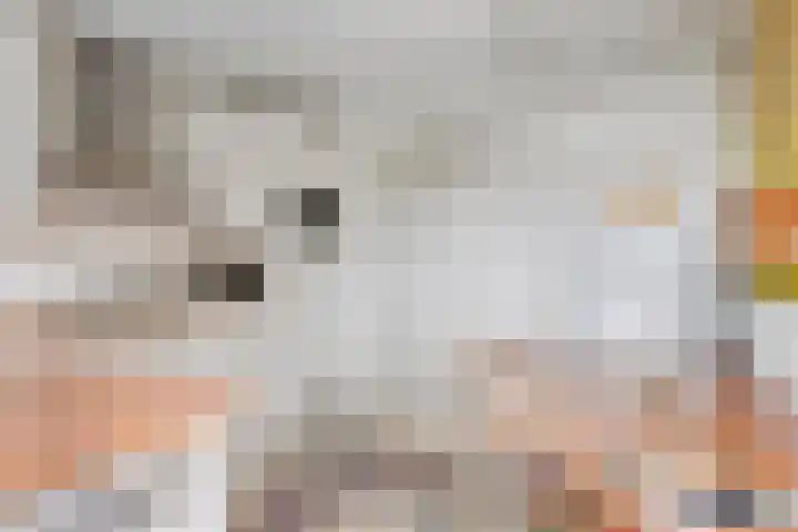 Adriaen van Ostadelaan 11 Waalre thumbnail 16