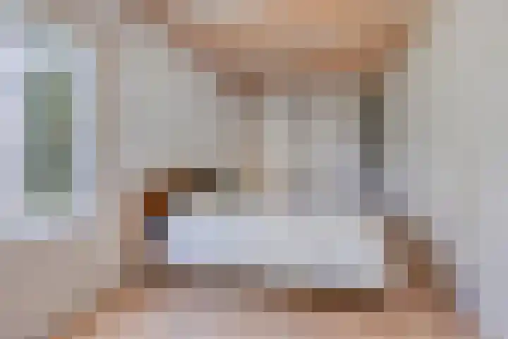 Adriaen van Ostadelaan 11 Waalre thumbnail 17