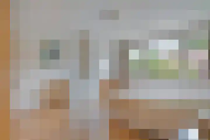 Adriaen van Ostadelaan 11 Waalre thumbnail 19