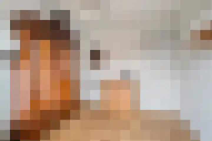 Adriaen van Ostadelaan 11 Waalre thumbnail 23