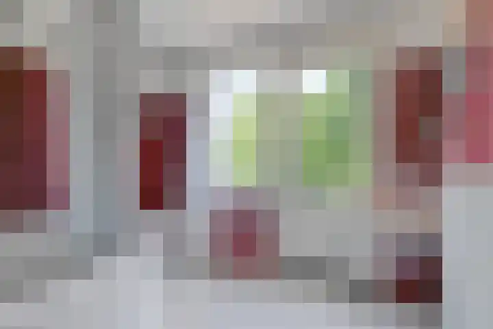 Adriaen van Ostadelaan 11 Waalre thumbnail 24