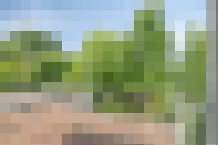 Adriaen van Ostadelaan 11 Waalre thumbnail 27