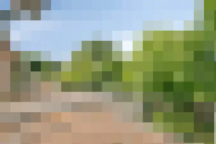 Adriaen van Ostadelaan 11 Waalre thumbnail 28