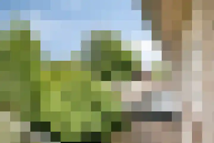 Adriaen van Ostadelaan 11 Waalre thumbnail 29