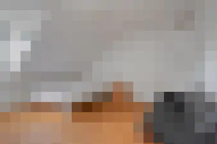 Adriaen van Ostadelaan 11 Waalre thumbnail 30