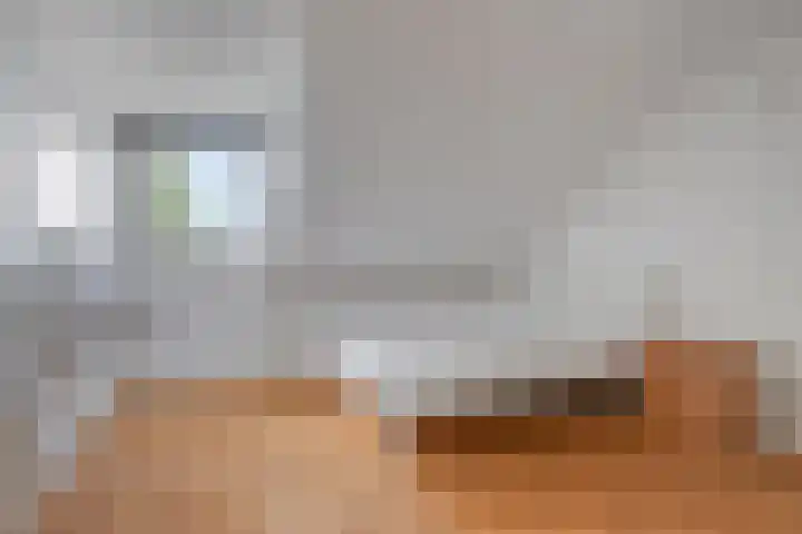 Adriaen van Ostadelaan 11 Waalre thumbnail 31