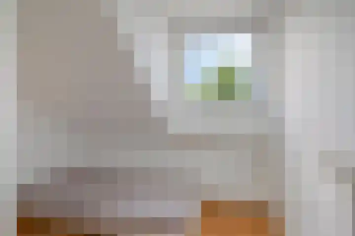 Adriaen van Ostadelaan 11 Waalre thumbnail 32