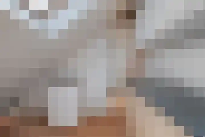 Adriaen van Ostadelaan 11 Waalre thumbnail 35