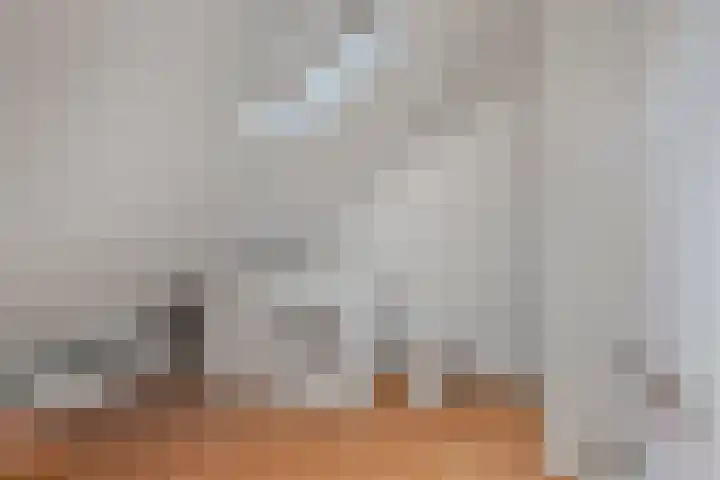 Adriaen van Ostadelaan 11 Waalre thumbnail 36