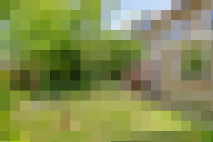Adriaen van Ostadelaan 11 Waalre thumbnail 37