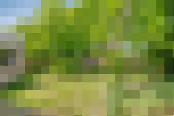 Adriaen van Ostadelaan 11 Waalre thumbnail 38