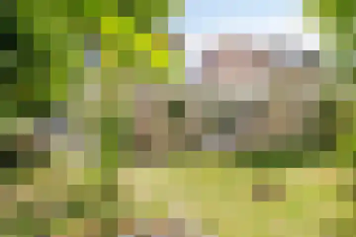 Adriaen van Ostadelaan 11 Waalre thumbnail 39