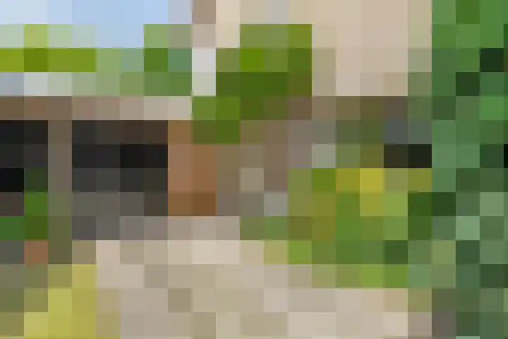 Adriaen van Ostadelaan 11 Waalre thumbnail 4