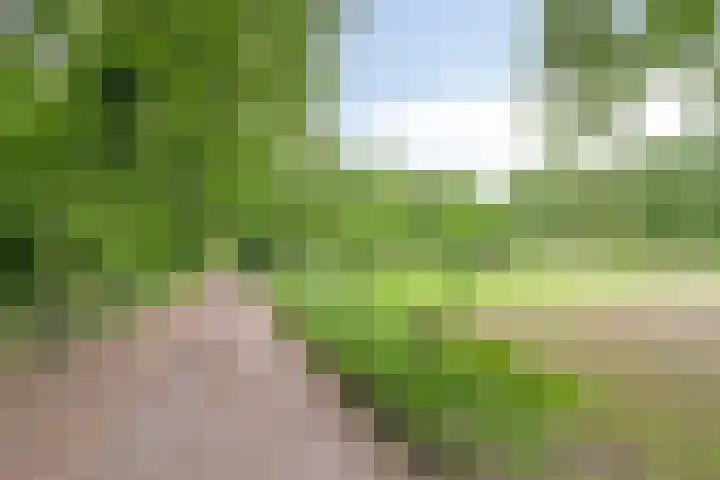 Adriaen van Ostadelaan 11 Waalre thumbnail 40