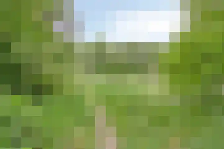 Adriaen van Ostadelaan 11 Waalre thumbnail 41