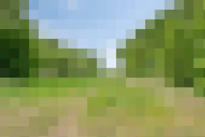 Adriaen van Ostadelaan 11 Waalre thumbnail 42