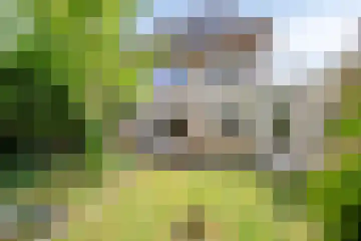 Adriaen van Ostadelaan 11 Waalre thumbnail 43