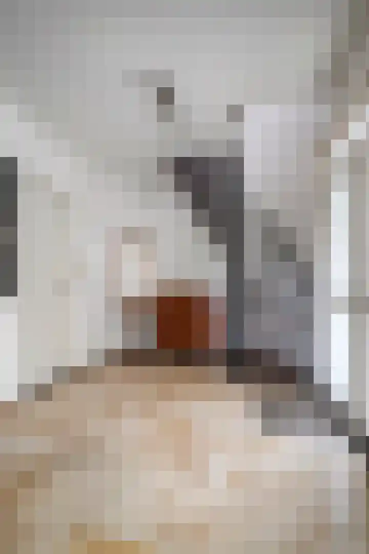 Adriaen van Ostadelaan 11 Waalre thumbnail 6