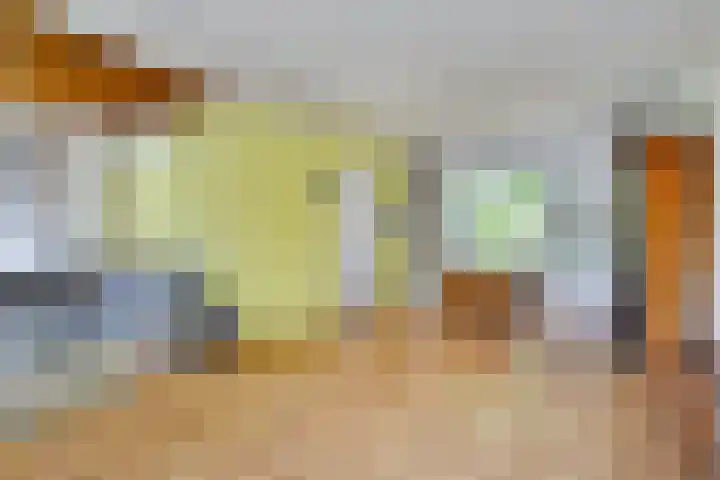 Adriaen van Ostadelaan 11 Waalre thumbnail 9