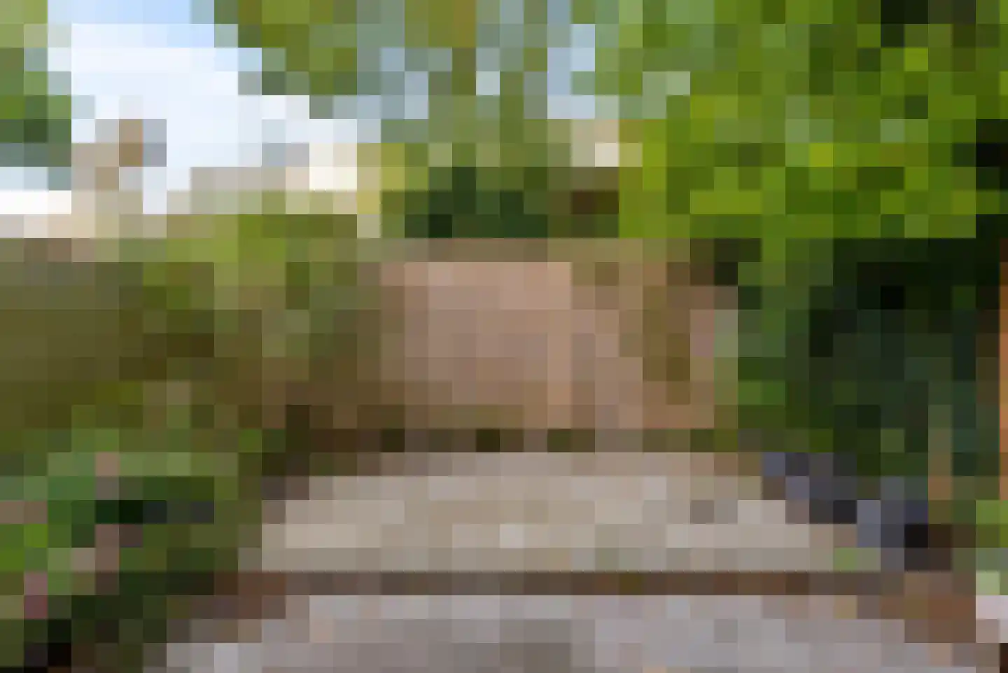 Adriaen van Ostadelaan 117 A Utrecht thumbnail 13