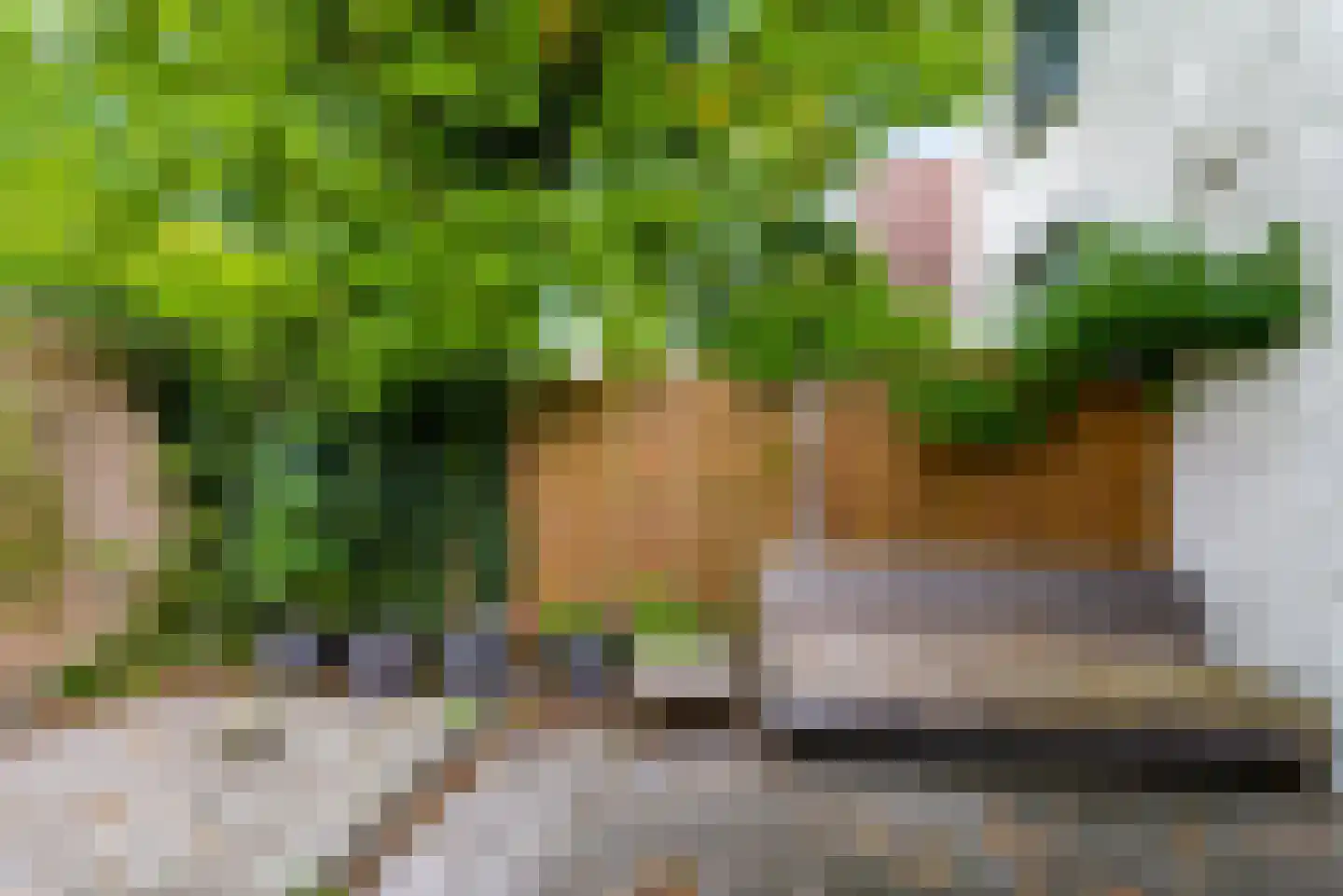 Adriaen van Ostadelaan 117 A Utrecht thumbnail 14