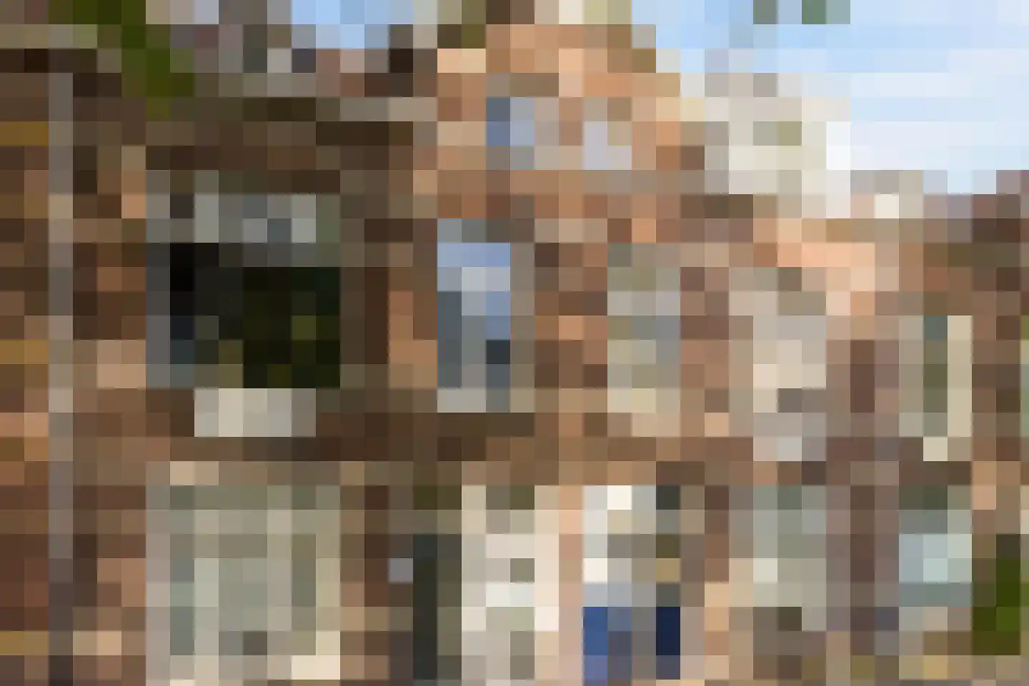Adriaen van Ostadelaan 117 A Utrecht foto 2