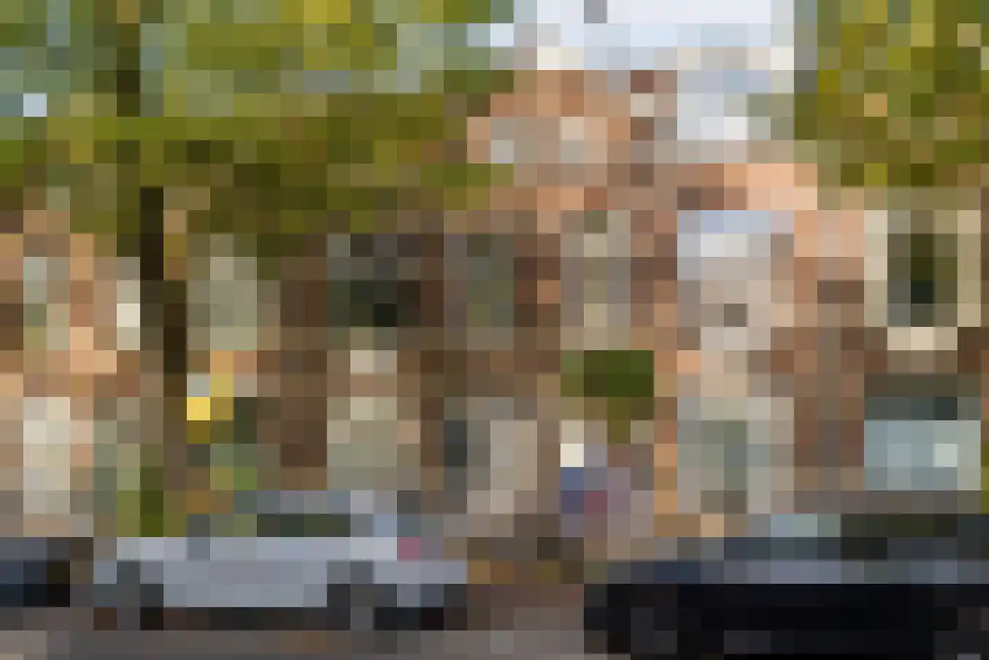 Adriaen van Ostadelaan 117 A Utrecht thumbnail 24