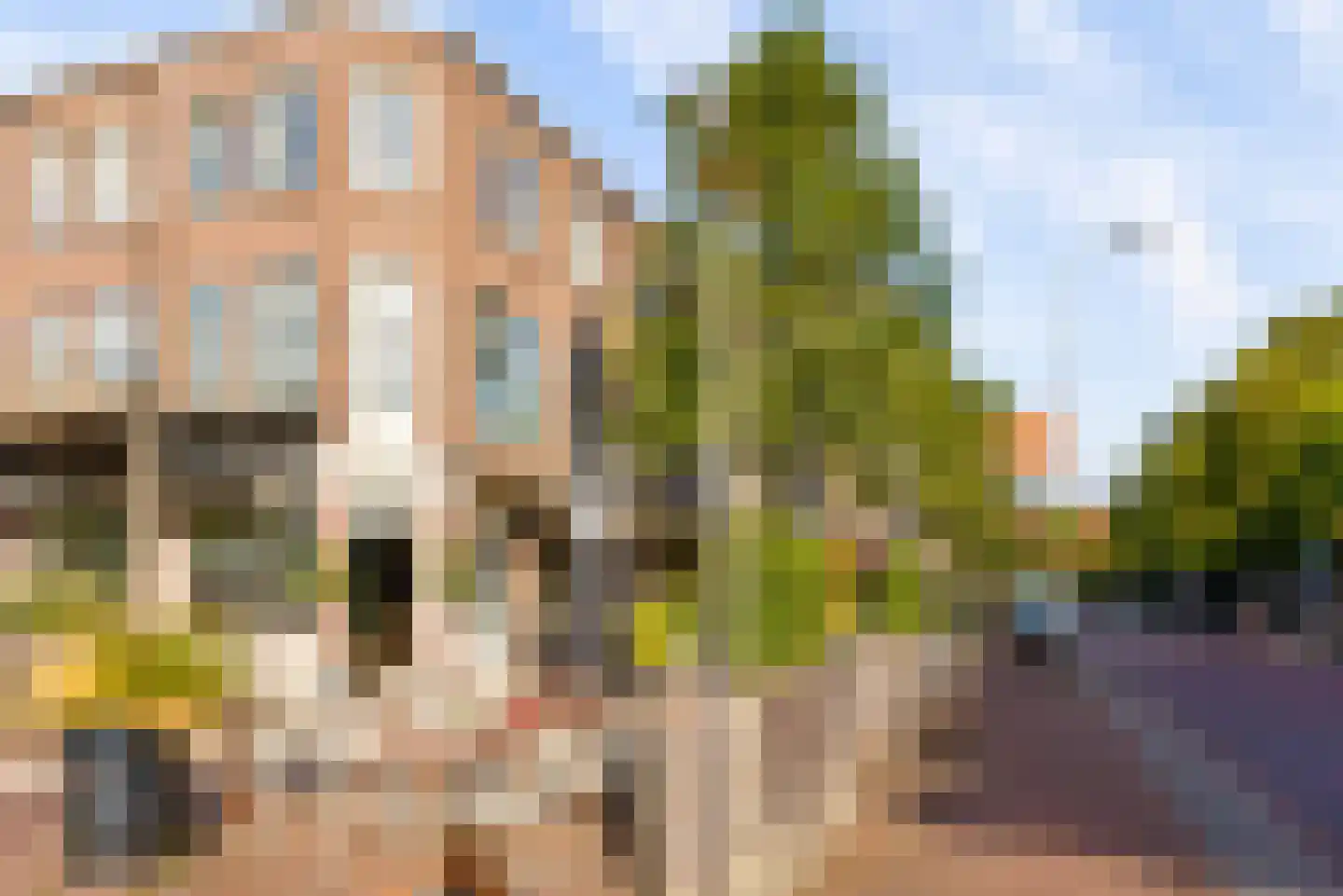 Adriaen van Ostadelaan 117 A Utrecht thumbnail 26