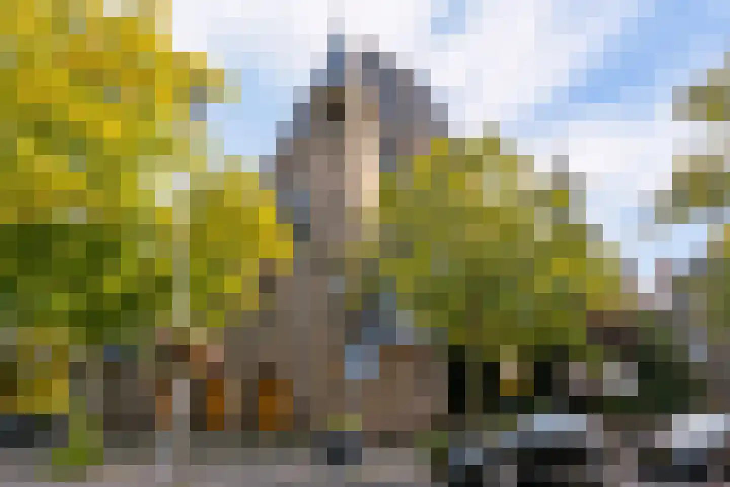 Adriaen van Ostadelaan 117 A Utrecht thumbnail 27