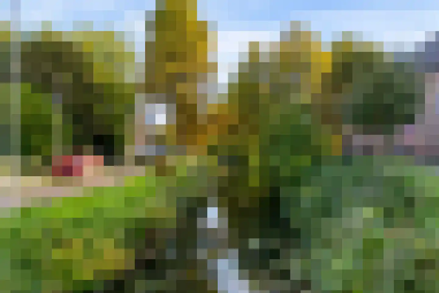 Adriaen van Ostadelaan 117 A Utrecht thumbnail 28