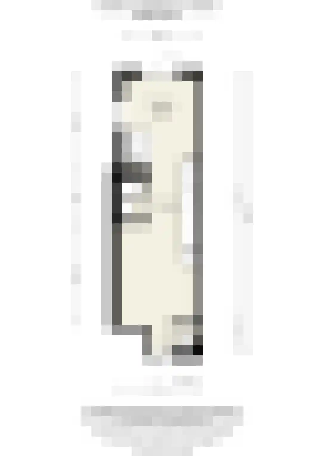 Adriaen van Ostadelaan 117 A Utrecht thumbnail 32