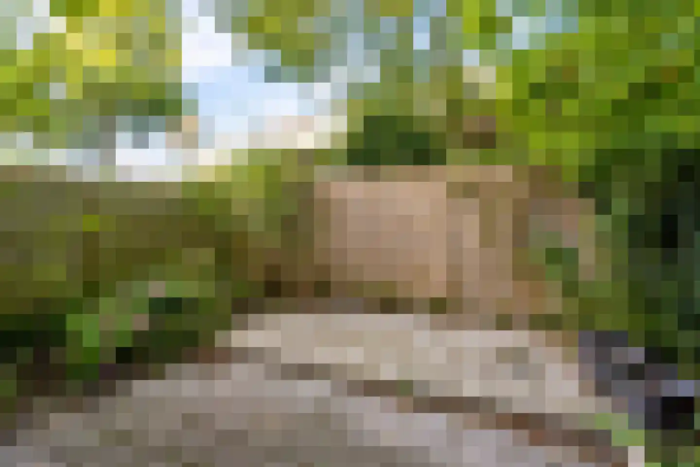 Adriaen van Ostadelaan 117 A Utrecht thumbnail 4