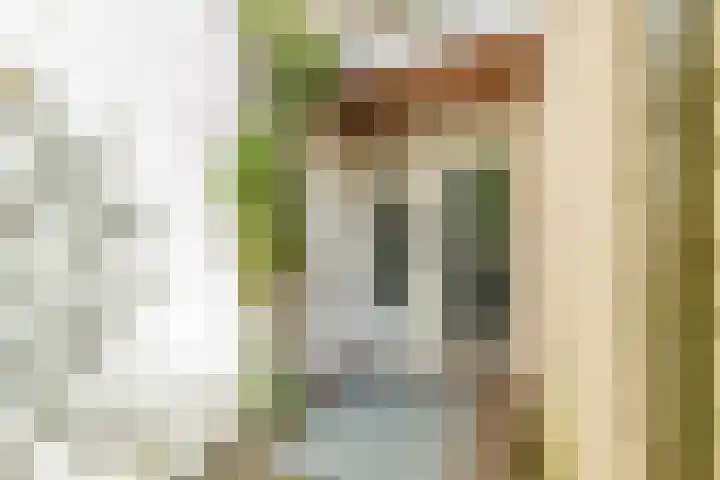 Adriaen van Ostadelaan 117 Utrecht thumbnail 11