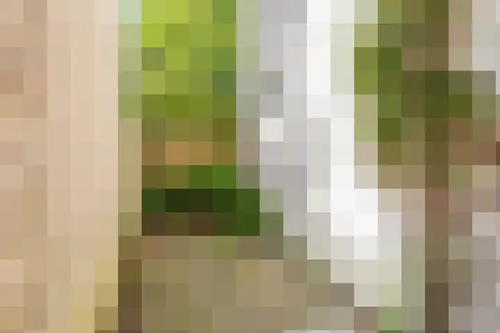 Adriaen van Ostadelaan 117 Utrecht thumbnail 12