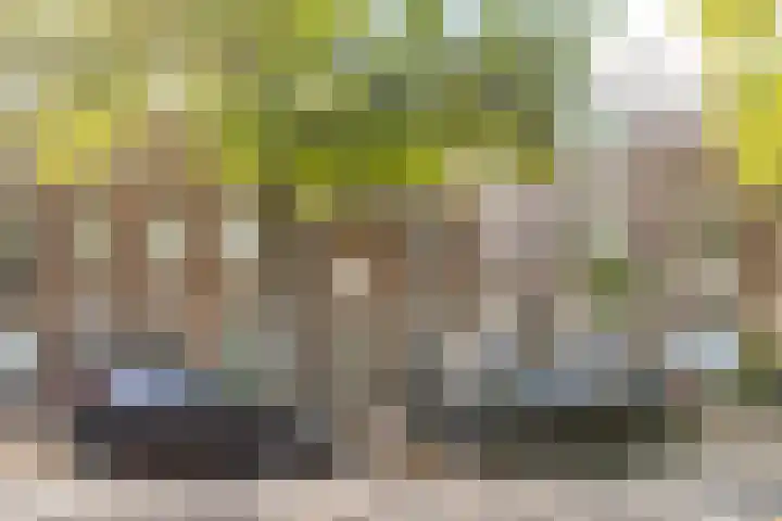 Adriaen van Ostadelaan 117 Utrecht thumbnail 16