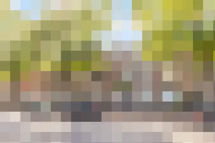 Adriaen van Ostadelaan 117 Utrecht thumbnail 17